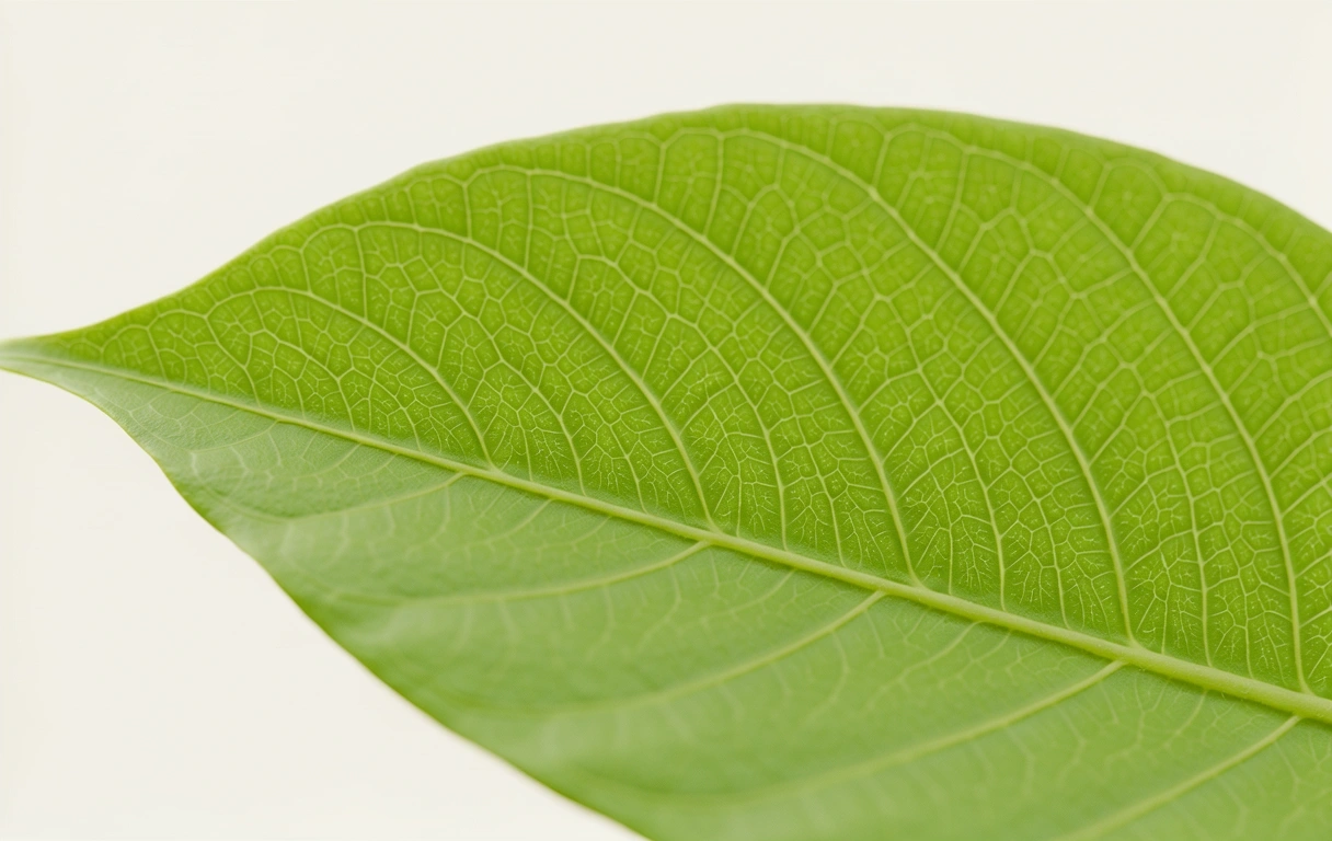 Organic textures symbolizing natural data flow